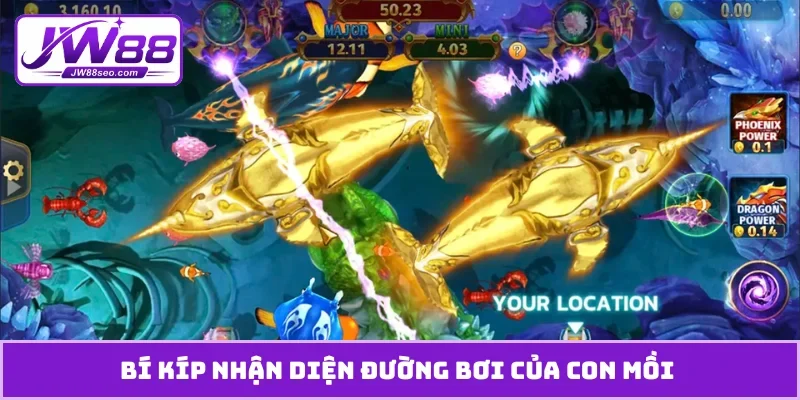 Bí kíp nhận diện đường bơi của con mồi