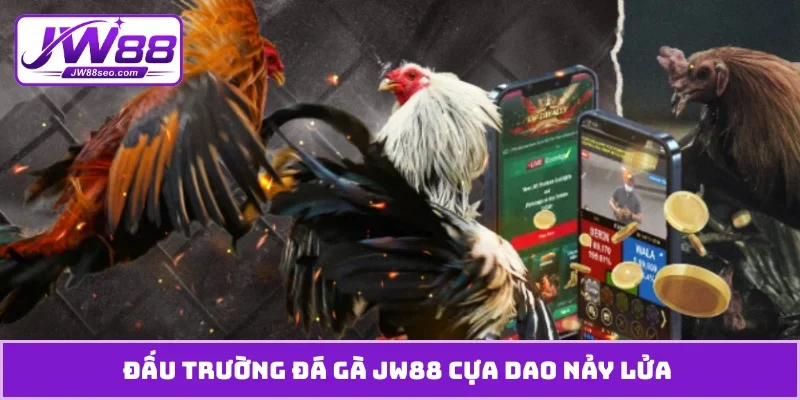 Đấu trường đá gà JW88 cựa dao nảy lửa